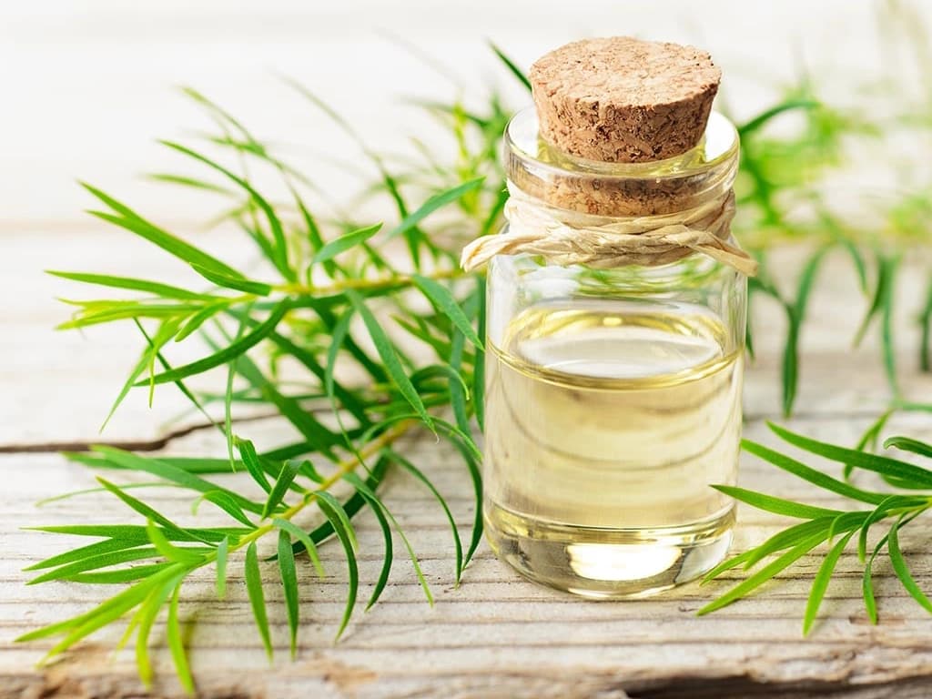 Sản phẩm giới hạn